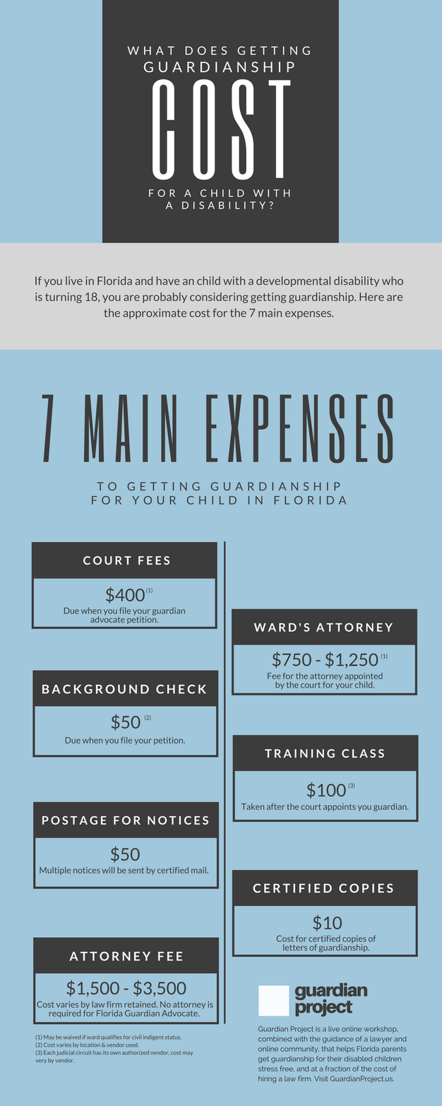 what does getting guardianship cost infographic